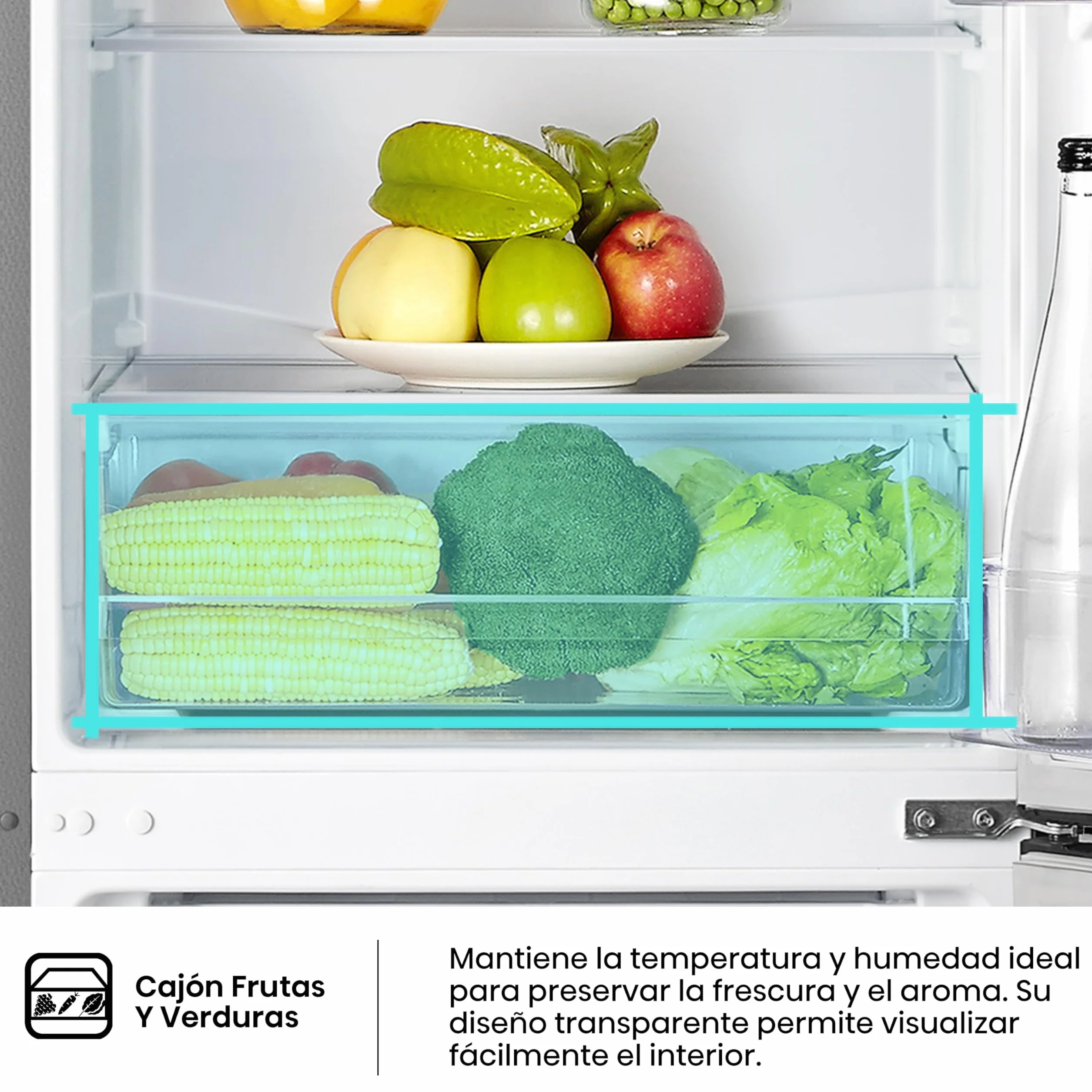 Hisense RB343D4CDE Frigorífico Combi Cíclico 269L Clase E 55x180cm Inox