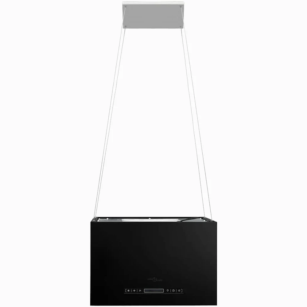 vidaXL Campana extractora colgante táctil LCD acero recubierto 55 cm