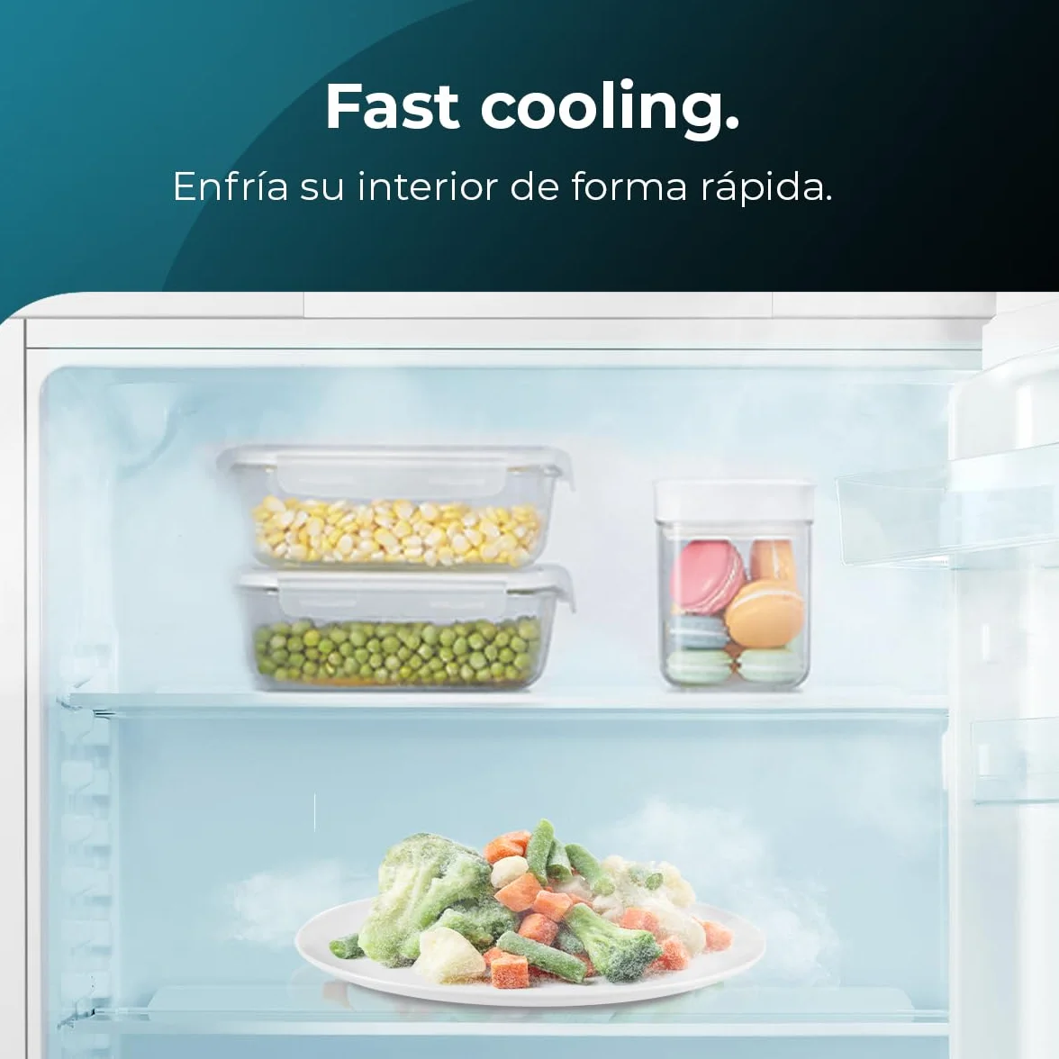 Cecotec Mini Nevera Integrable de 138 L Bolero CoolMarket TT BI 138 White E. Altura 81,8 cm y 59,5 cm de Ancho, Display Touch, Fast Cooling, Puerta Reversible, Temperatura Regulable, Blanco