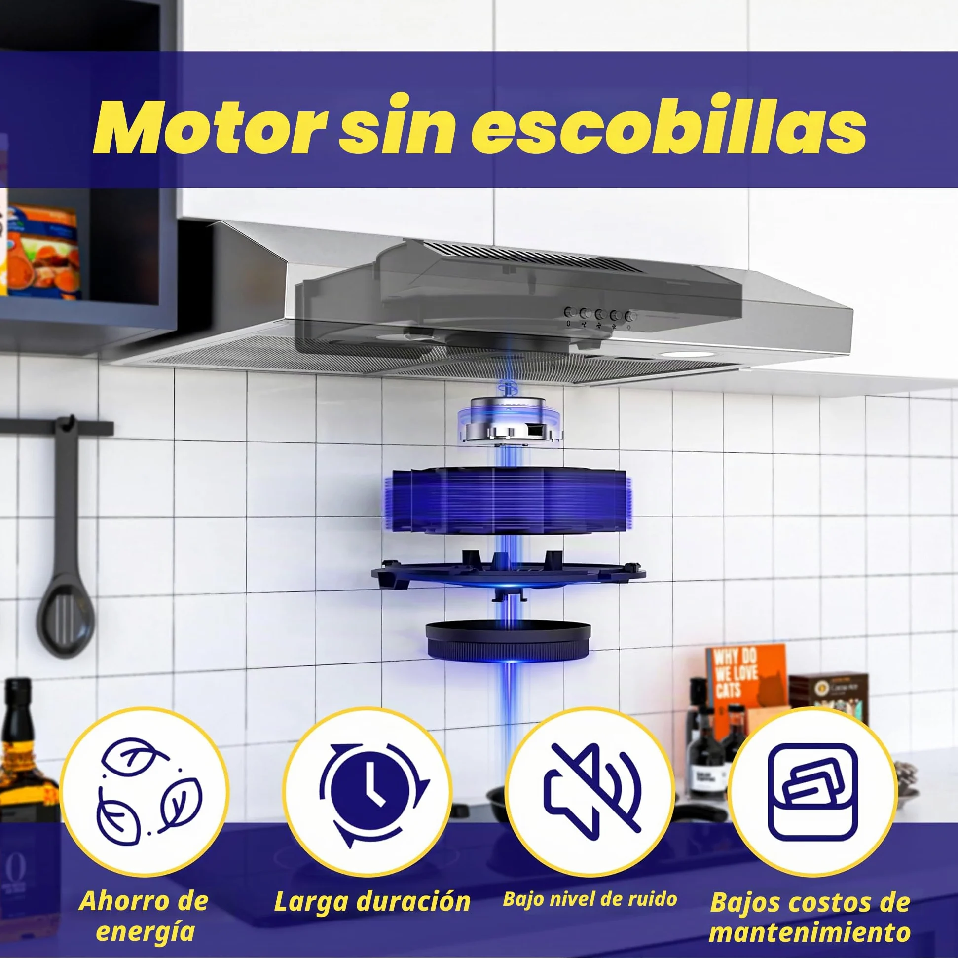 FIREGAS campana extractora 60 cm, con motor sin escobillas, 3 velocidades, 250 m³/h, iluminación LED, filtro de carbón incluido, evacuación y reciclaje, acero inoxidable