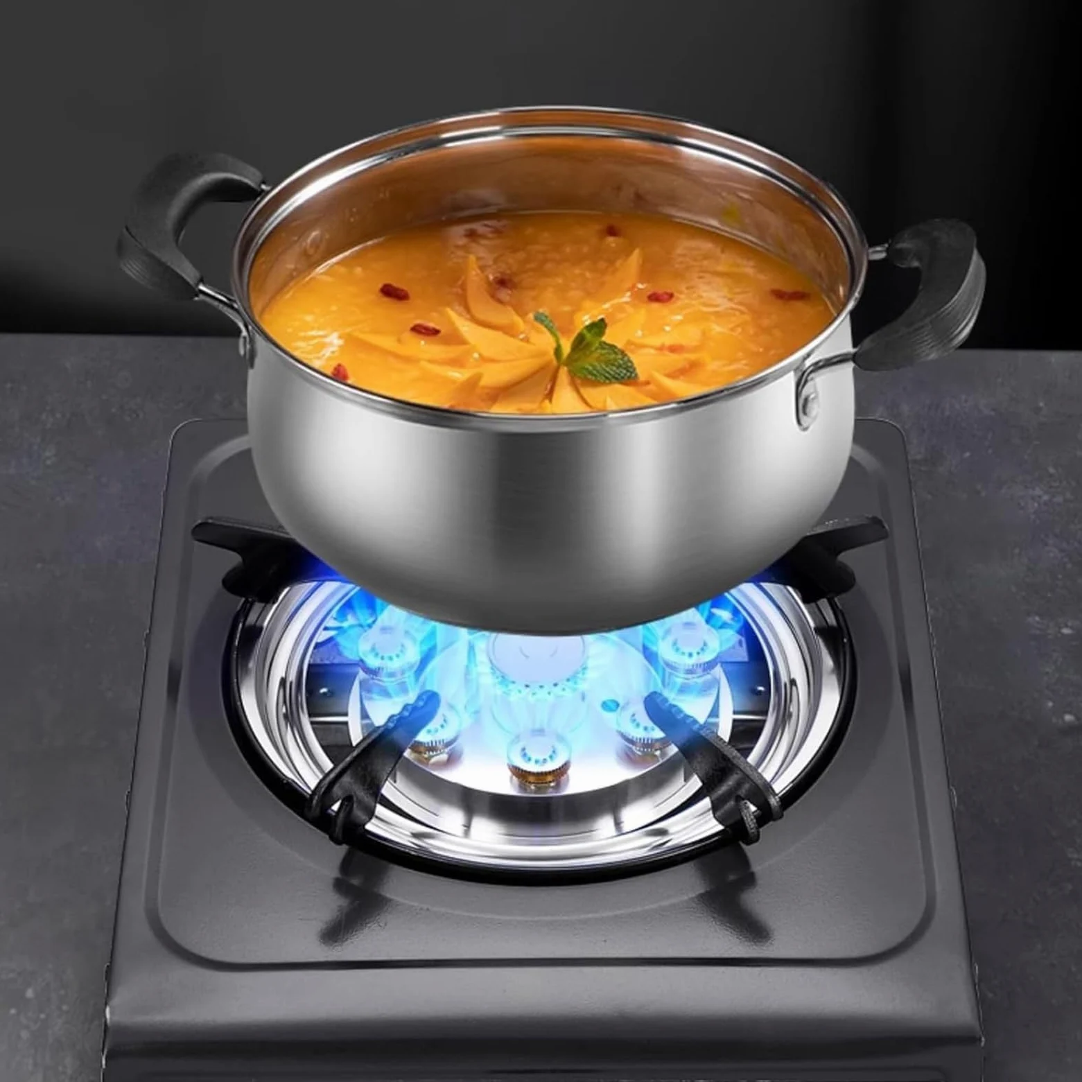 THEGA Estufa De Gas, Portátil De Propano, con Encendido Automático, De Acero Inoxidable, para Catering, con Reguladores Interiores De 4.0 KW, Ideal para Cocinar Al Aire Libre(NG)