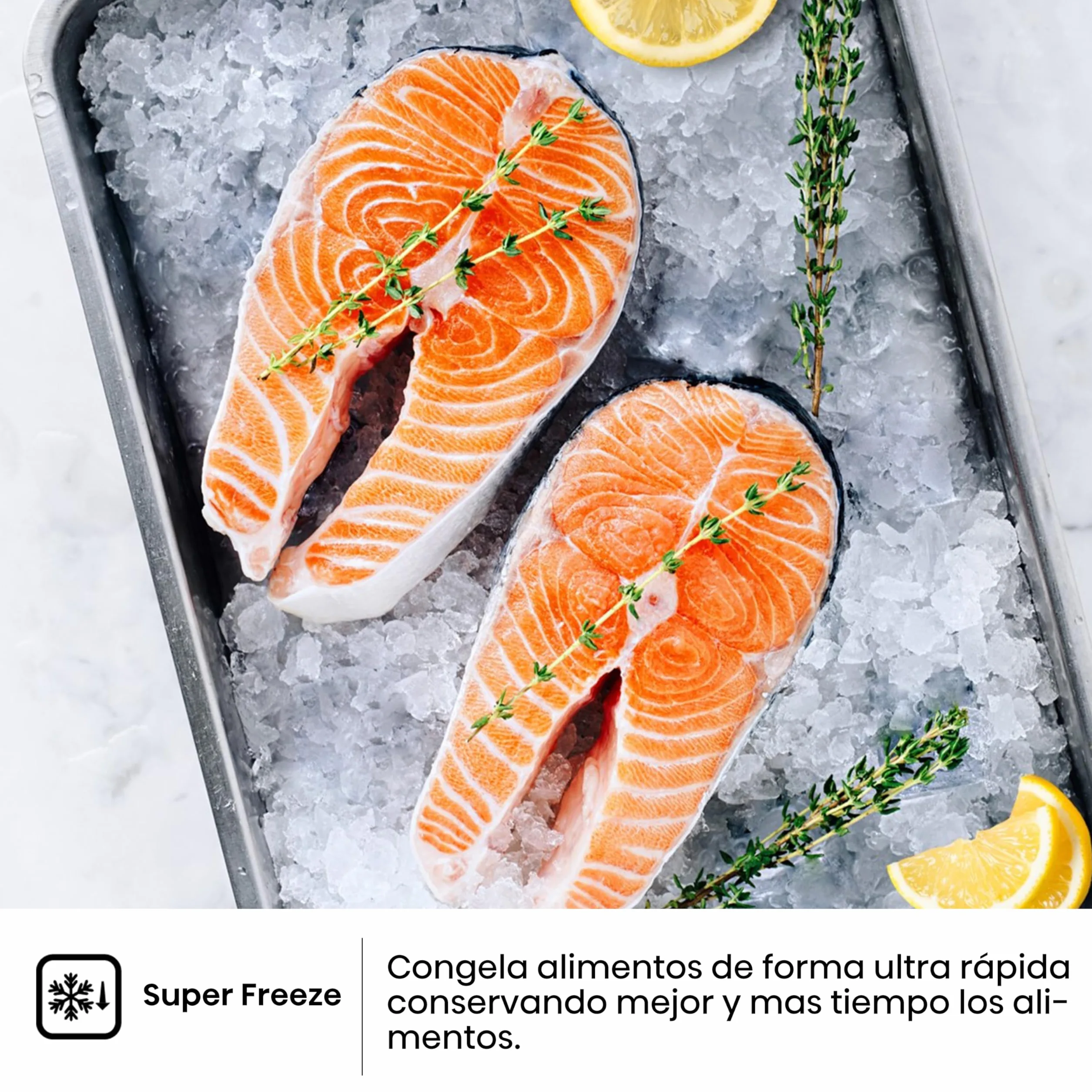Hisense RB440N4BWE Frigorífico Combi 336L 200cm Clase E Super Freeze Blanco
