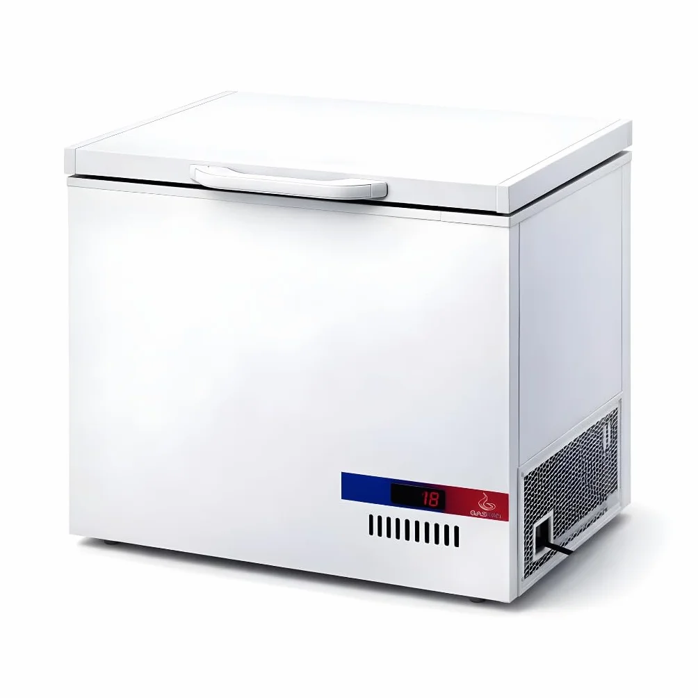 Arcón Congelador Profesional Bajo Ruido – Libre Instalación – Clase Energética B – 150 a 450 Litros – Uso Hostelería y Comercio