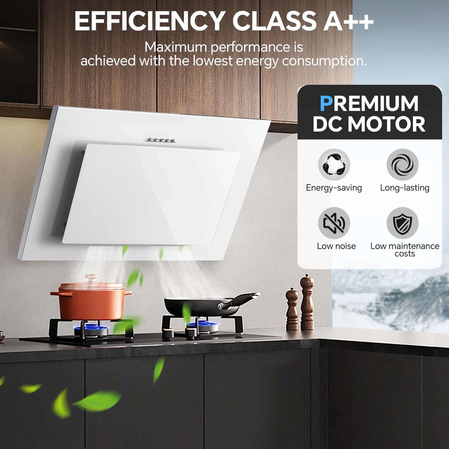 Campana Extractora 60 cm TopStrong Clase A++ Blanco 350m³/h 3 Niveles LED
