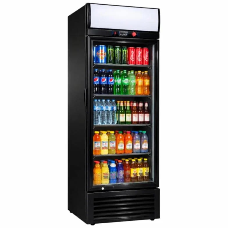 Armario de bebidas refrigerado genérico 350L con dosel – vitrina refrigerada profesional para comercios, cafeterías, restaurantes, aperitivos – Refrigeración eficiente y diseño atractivo