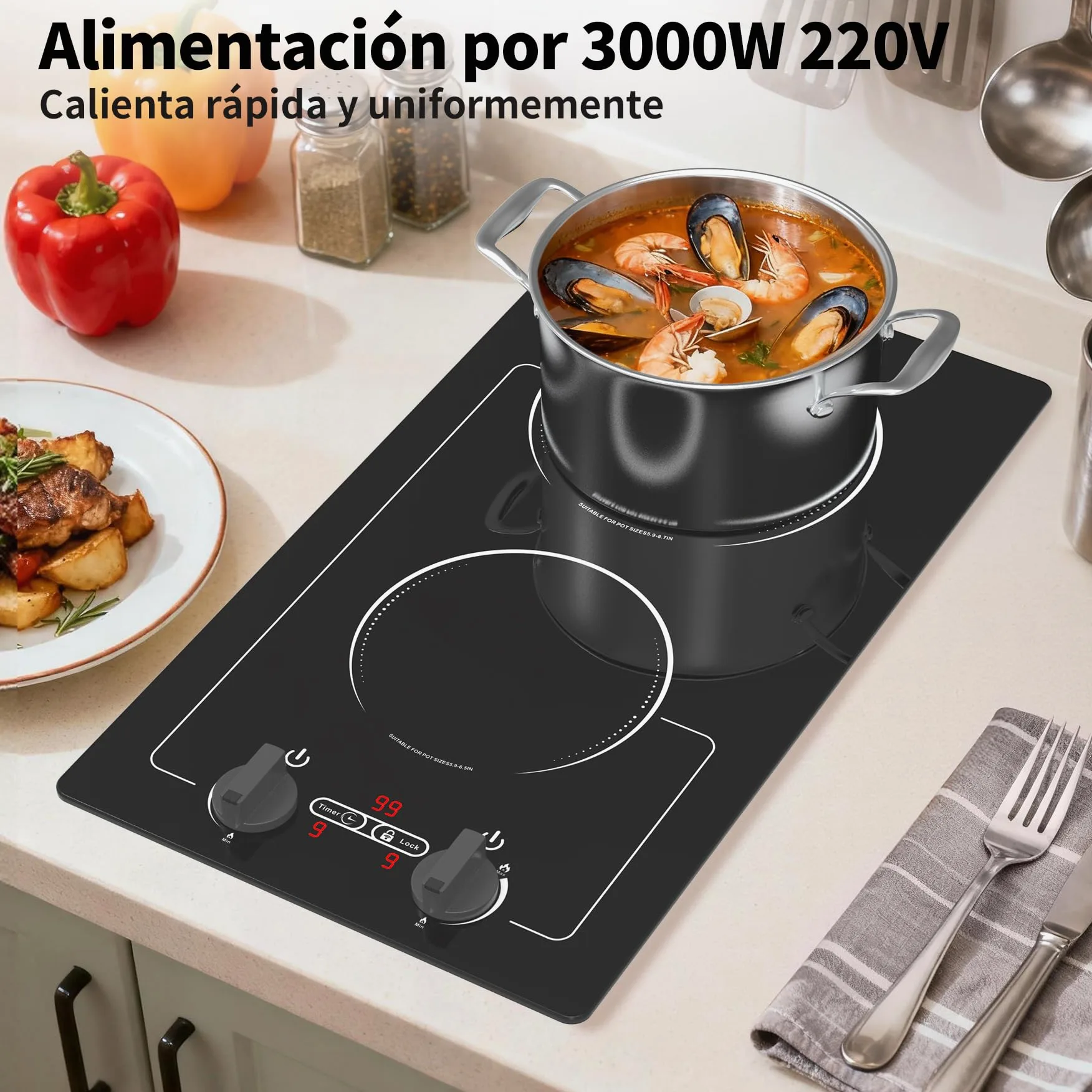 VBGK induccion 2 fuegos,220V 3000W placa induccion 2 fuegos con pantalla táctil LED, 10 niveles de potencia, bloqueo infantil y temporizador, protección contra sobrecalentamiento