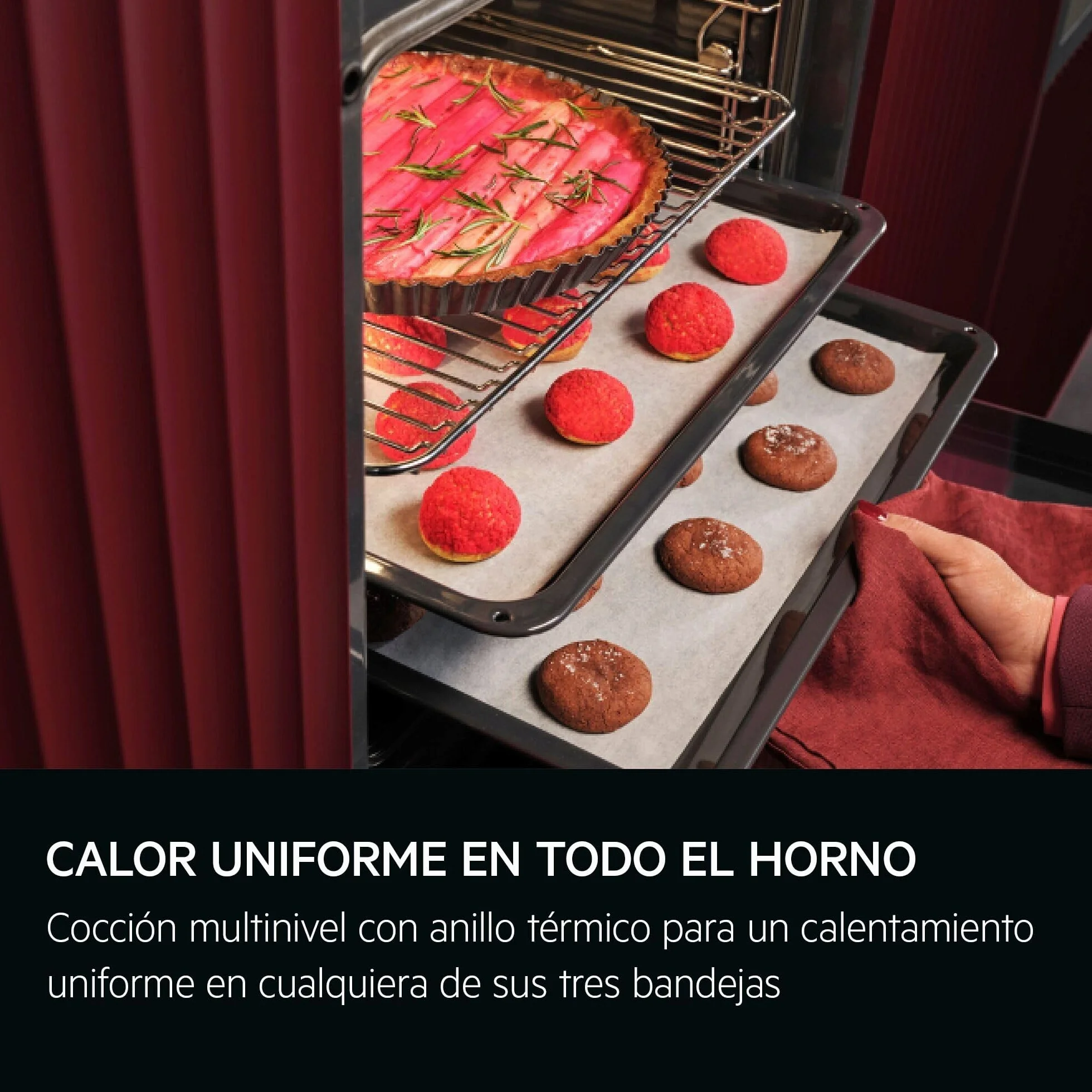 AEG Horno Multifunción TP9SB831AB 70L Limpieza a Vapor 25 Funciones Sonda Térmica Cocción a Vapor Pantalla Táctil WiFi Negro