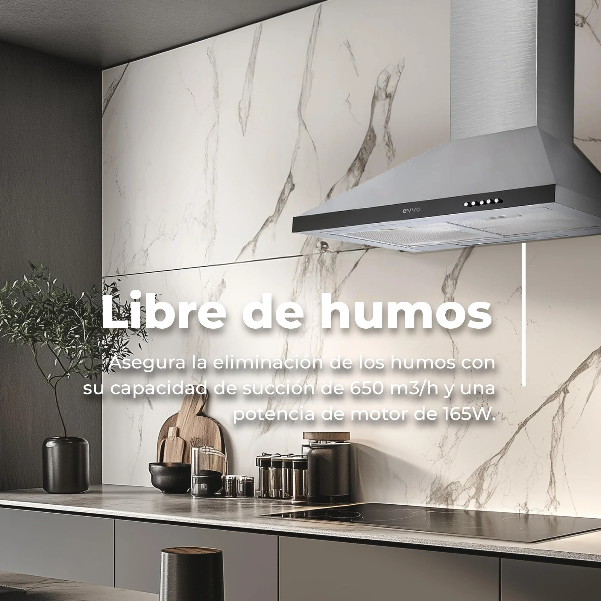 EVVO Campana Extractora 60 cm 650 m³/h 3 Velocidades Inox CE21