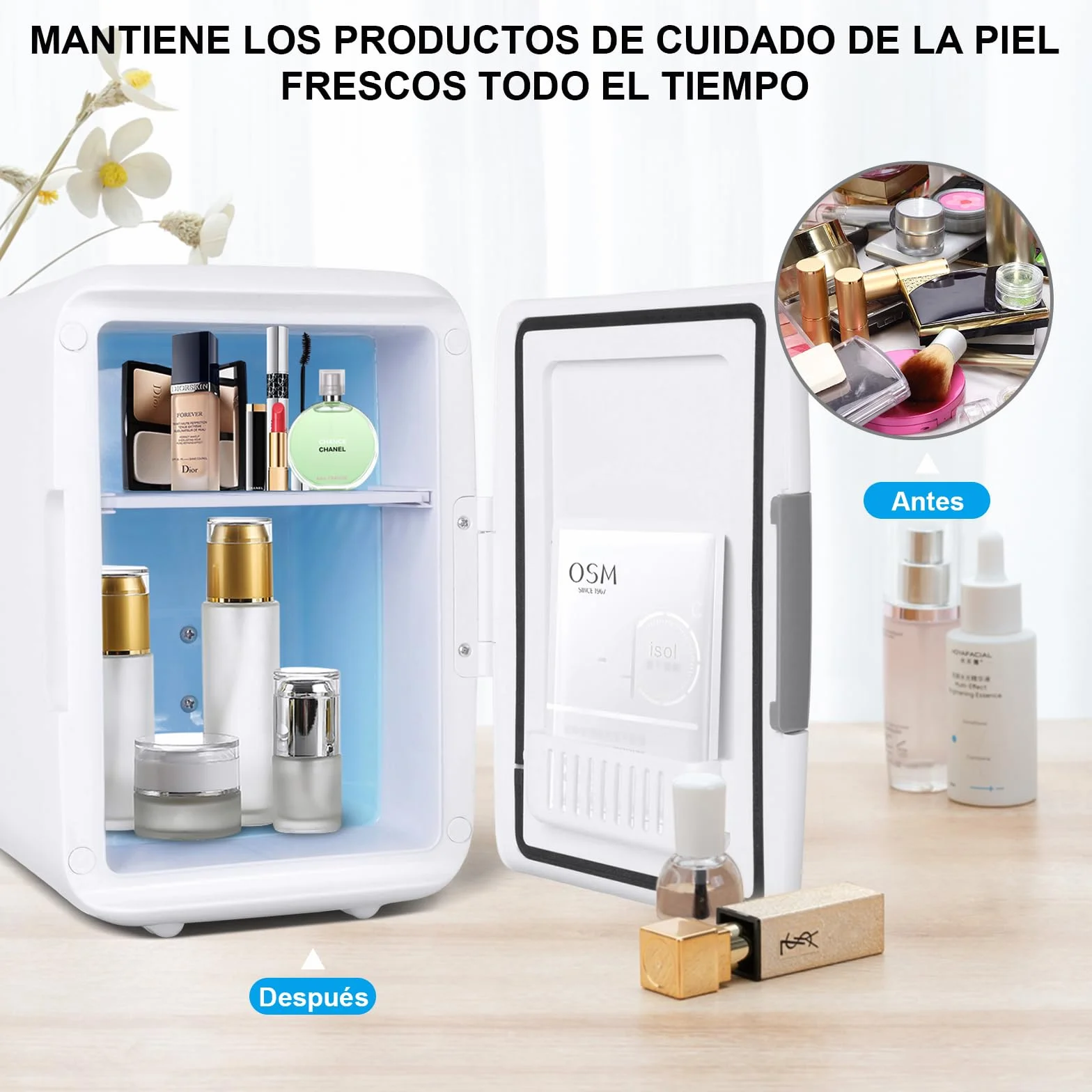 Nevera Pequeña - Mini Nevera, 4L Comética Pequeña Nevera para Dormitorio, CA 220V/ CC 12V para Coche, Mini Neveras Para Habitacion (Blanco)