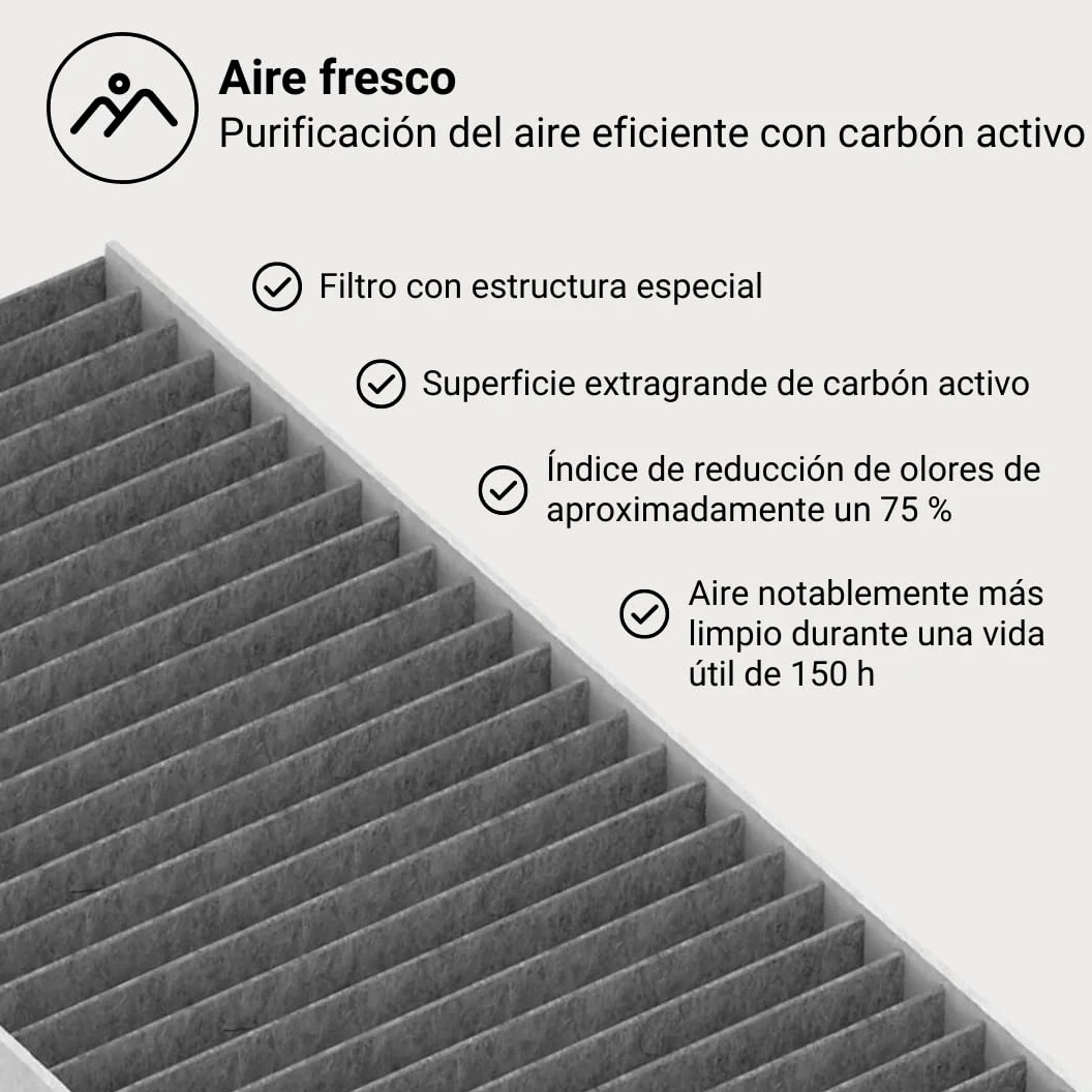 BORA GFES - Filtro de carbón activo original para campana extractora BORA Pure & Easy, accesorio de repuesto, filtro de recirculación, reducción de olores, reemplazo del filtro sin herramientas, vida