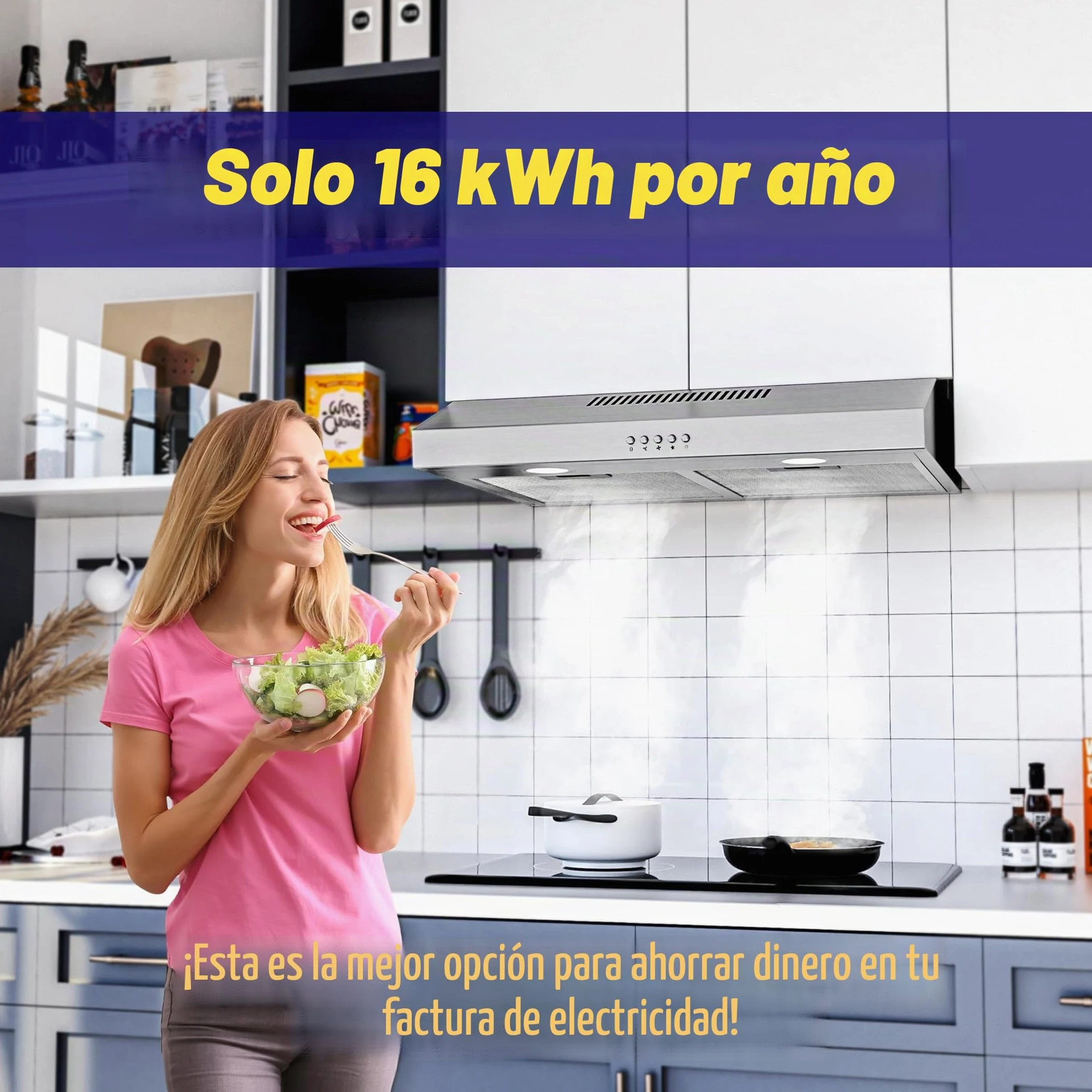 FIREGAS campana extractora 60 cm, con motor sin escobillas, 3 velocidades, 250 m³/h, iluminación LED, filtro de carbón incluido, evacuación y reciclaje, acero inoxidable