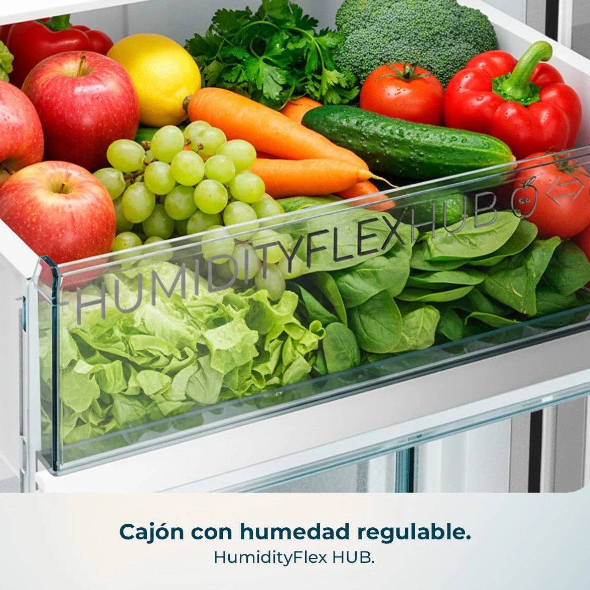 Cecotec Frigorífico Combi Total No Frost de 322L Bolero CoolMarket Combi 322i WD Inox E. 185,5 cm de Alto, 59,5 cm de Ancho, Clase E, Tecnología Multi Airflow, HumidityFlex HUB, LED Interior, Inox
