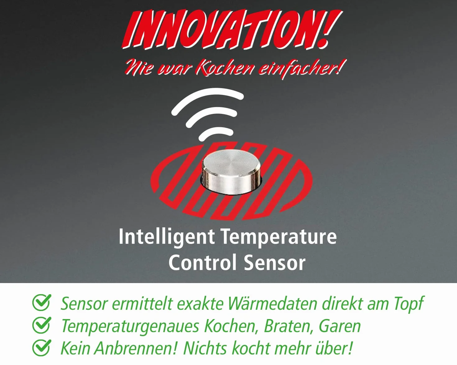 ROMMELSBACHER Placa de cocción individual CTS 2000/IN – Inducción, innovador sensor de temperatura, sustituye a muchos utensilios de cocina: 6 programas (por ejemplo, yogur, sous vide, freír),