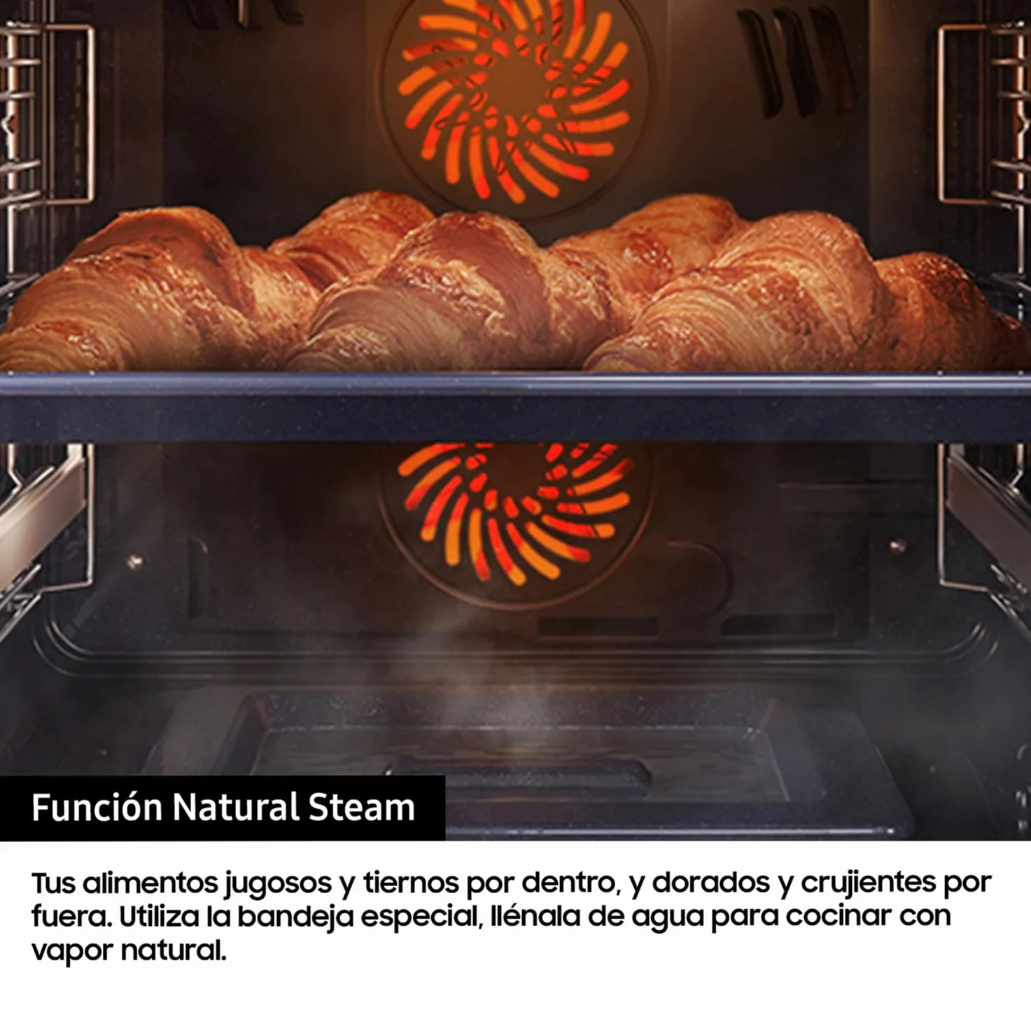 Samsung NV7B5750TDK, Horno Pirolítico 76L Dual Cook Negro [Clase de eficiencia energética A+]