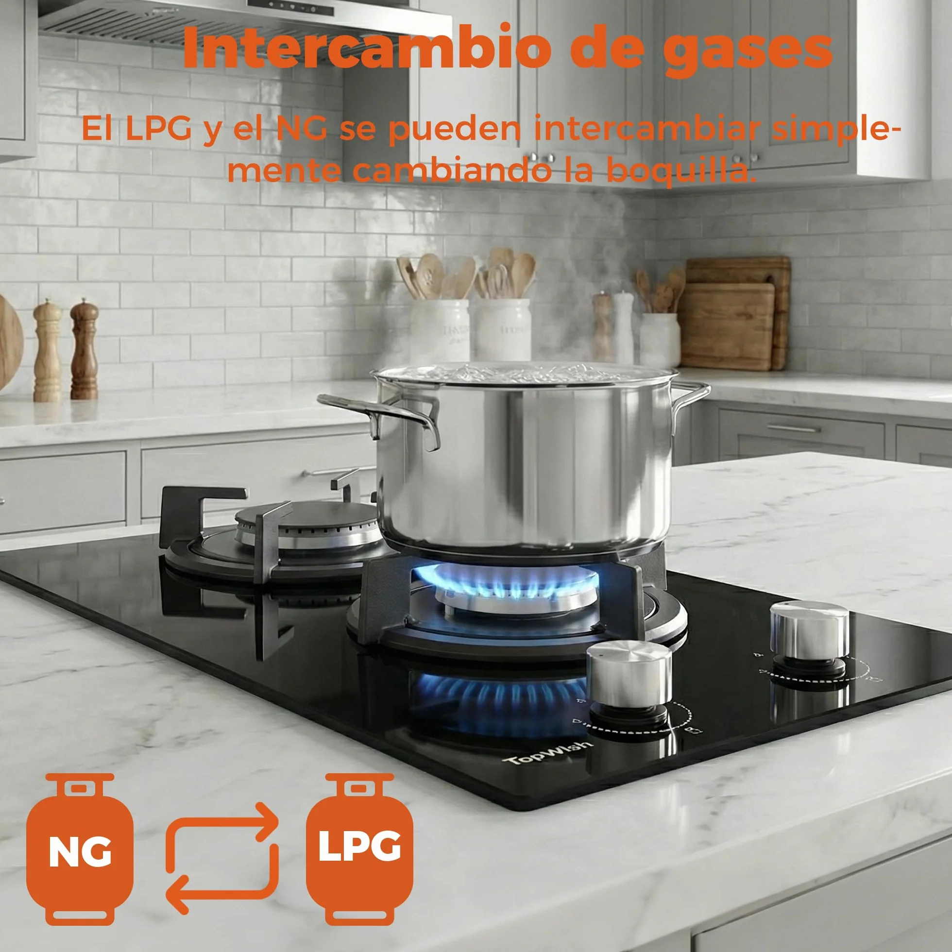TOPWISH Placa de Gas Butano 2 Fuegos 4750W 30cm NG/LPG Convertible