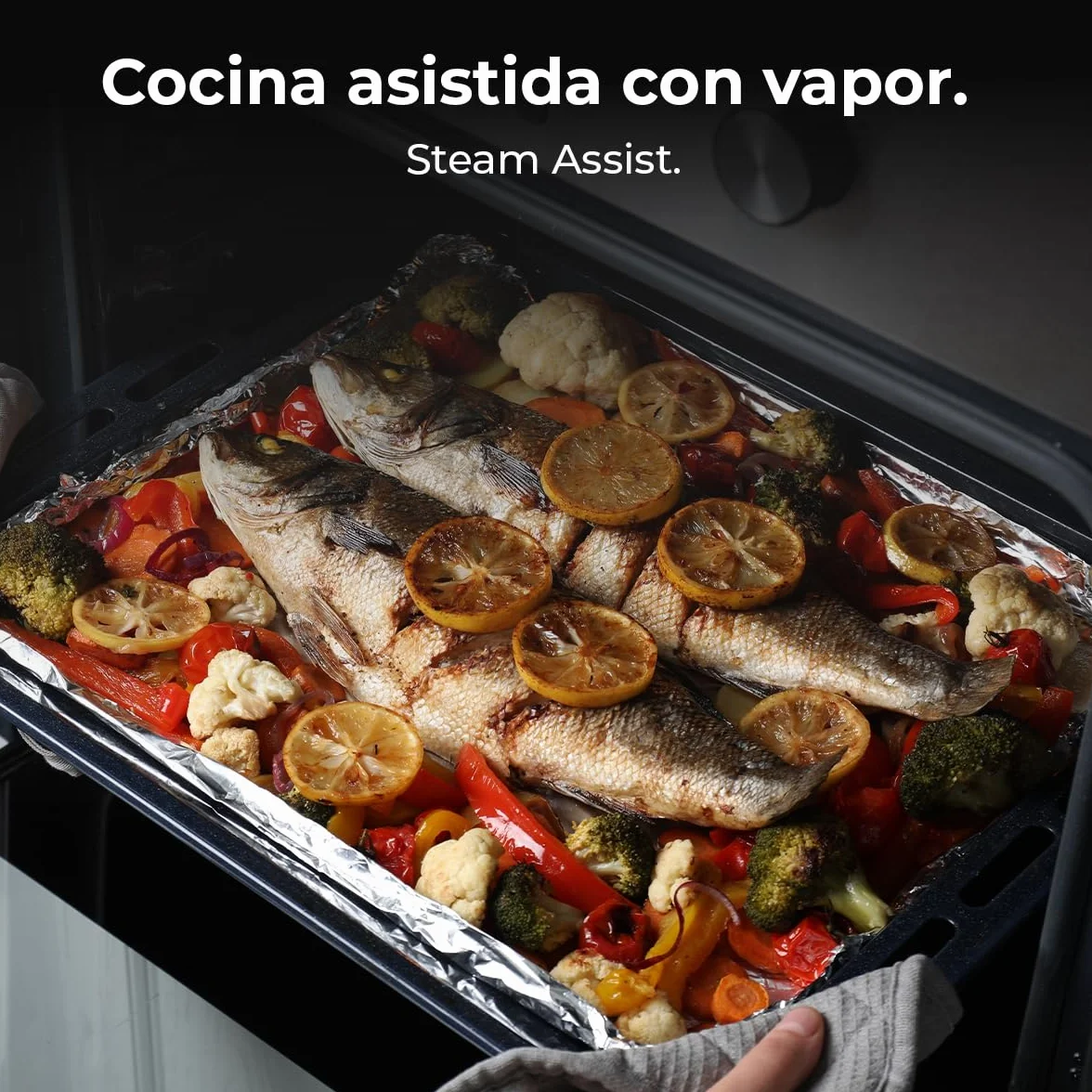 Cecotec Horno Integrable Multifunción 70L Bolero Hexa M236000 Inox Time. 2800W, 6 Funciones, Temporizador, Steam Base XXL, Steam Assist, Steam EasyClean, Cooling Fan, Modo Defrost, Eco, Convección