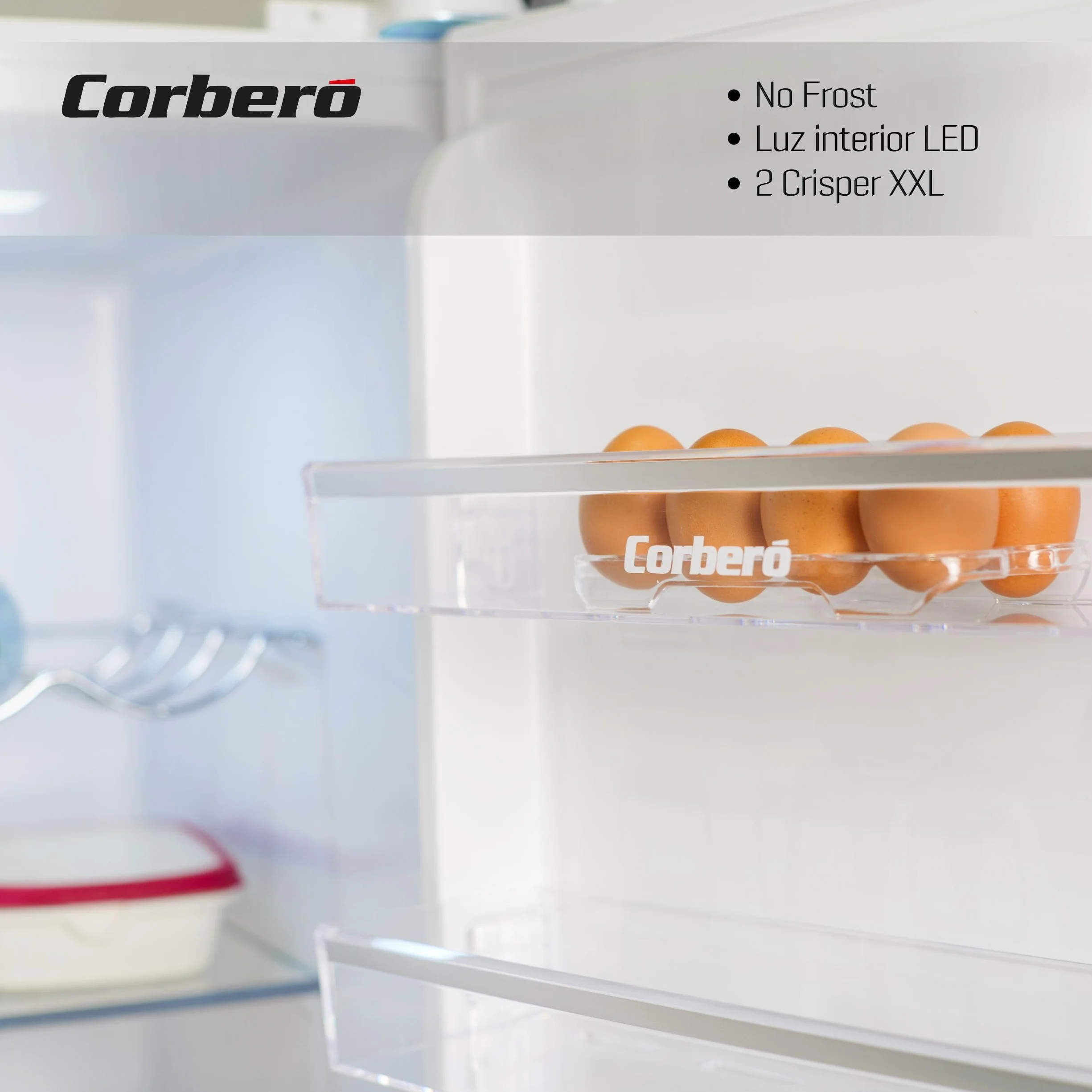 Corberó - Frigorífico 1 Puerta | CCLH18524NFW | 65x59,5x185 | Capacidad 359L | No Frost | Display en Puerta | Luz LED | 2 Crisper XXL | Fresh Box | 4 Botelleros | Tirador Easy Open | 40 Db | Inox