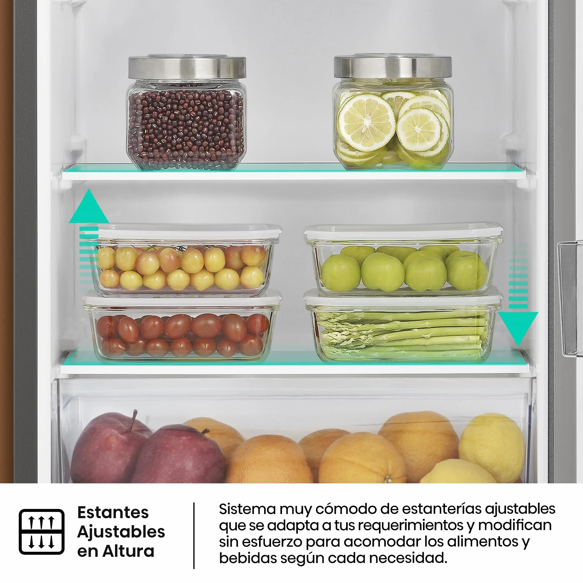 Hisense RR220D4BDE Frigorífico Una Puerta 165L 127cm Cycle Defrost Inox