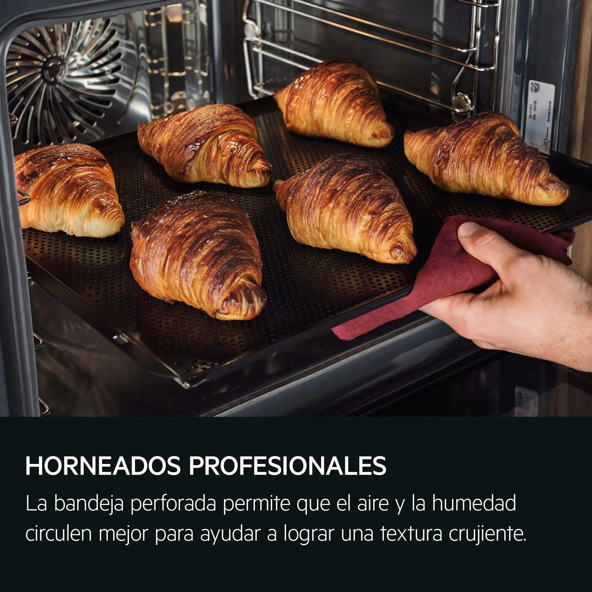 AEG Horno Multifunción TP9SB831AB 70L Limpieza a Vapor 25 Funciones Sonda Térmica Cocción a Vapor Pantalla Táctil WiFi Negro