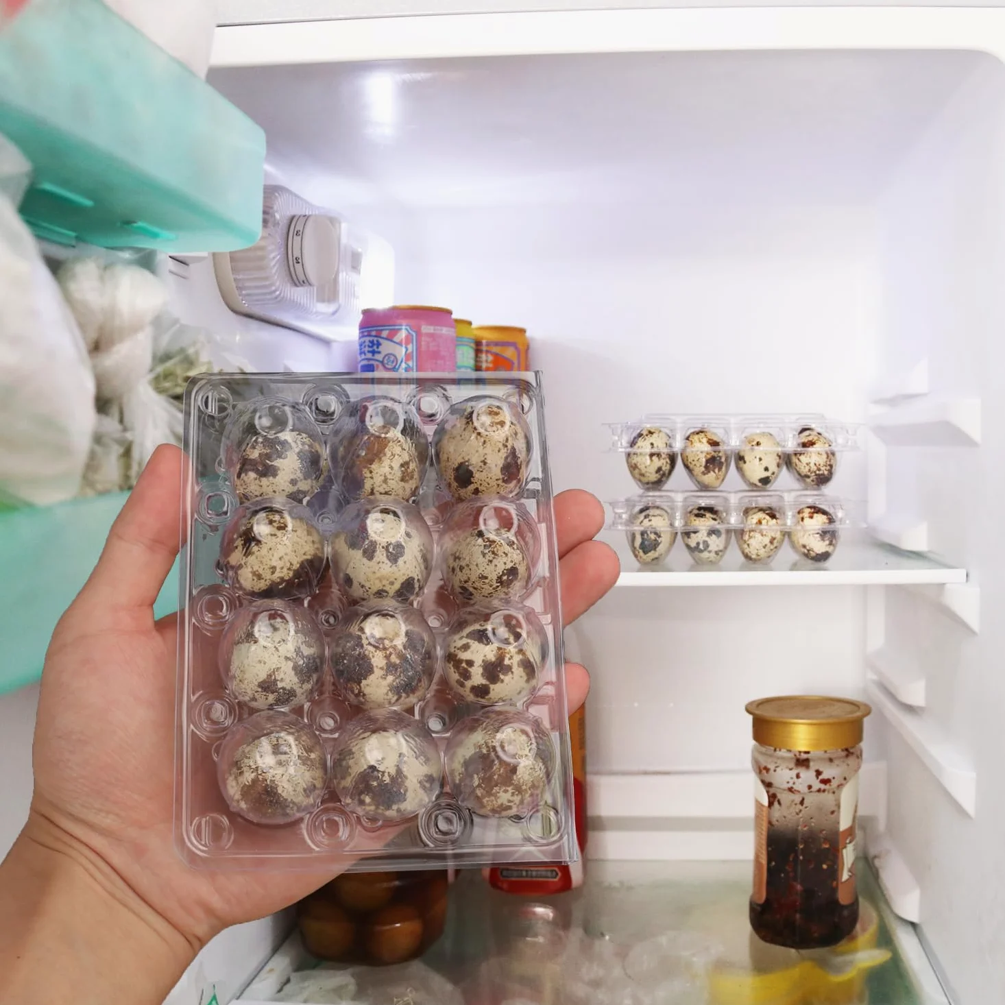 Paquete de 200 cajas de huevos de codorniz, bandejas de plástico transparente para huevos de codorniz, con capacidad para hasta 12 huevos de codorniz de forma segura, tus mejores soportes