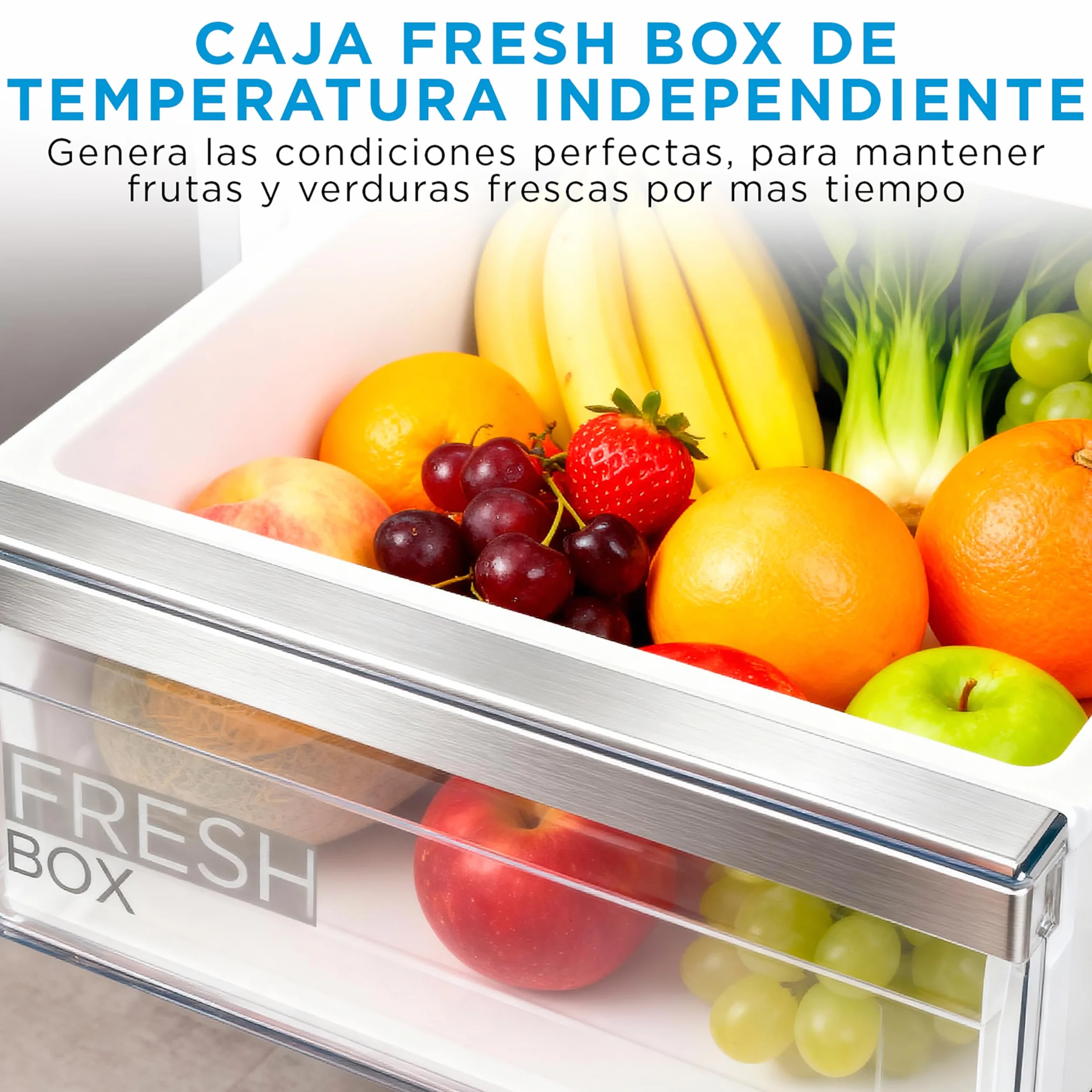 Midea Frigorifico Combi No Frost | 55 cm ancho x 180 cm | Inox | 270L de Capacidad - Nevera Libre Instalación con Congelador Vertical - Refrigerador de Bajo Consumo con Sistema Multi Air Flow