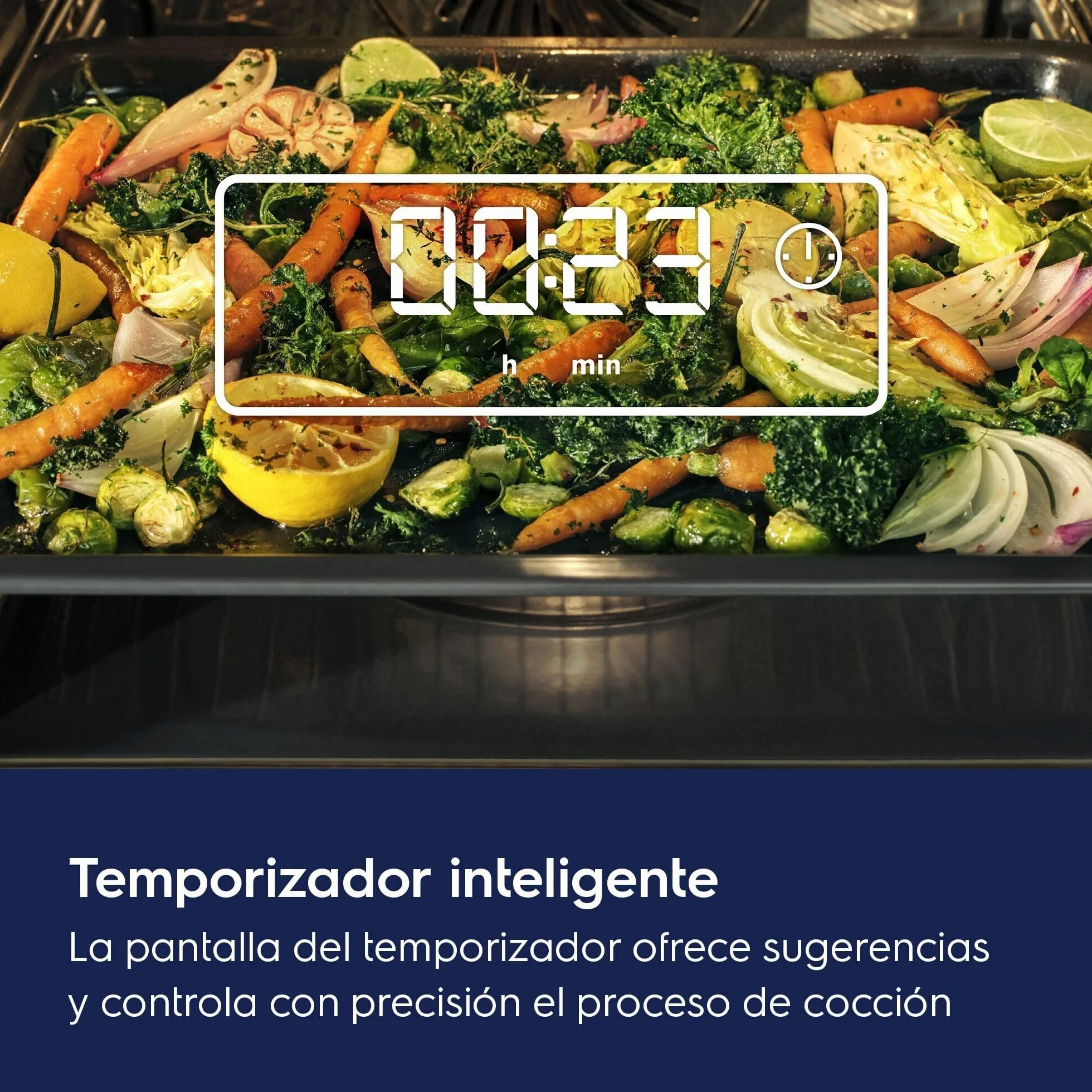Electrolux EOH3H00BX Horno Integrable Multifunción 7 Funciones Gran Capacidad Display LED Blanco